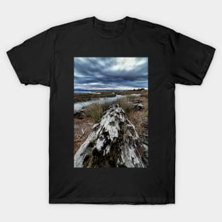 Log Ride T-Shirt